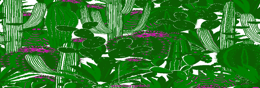 Pattern tecnico del design Cactus