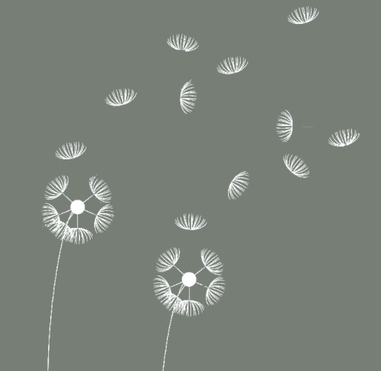 Pattern tecnico del design Soffioni