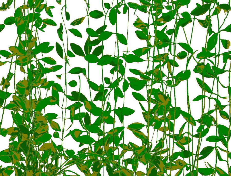 Pattern tecnico del design Efeu